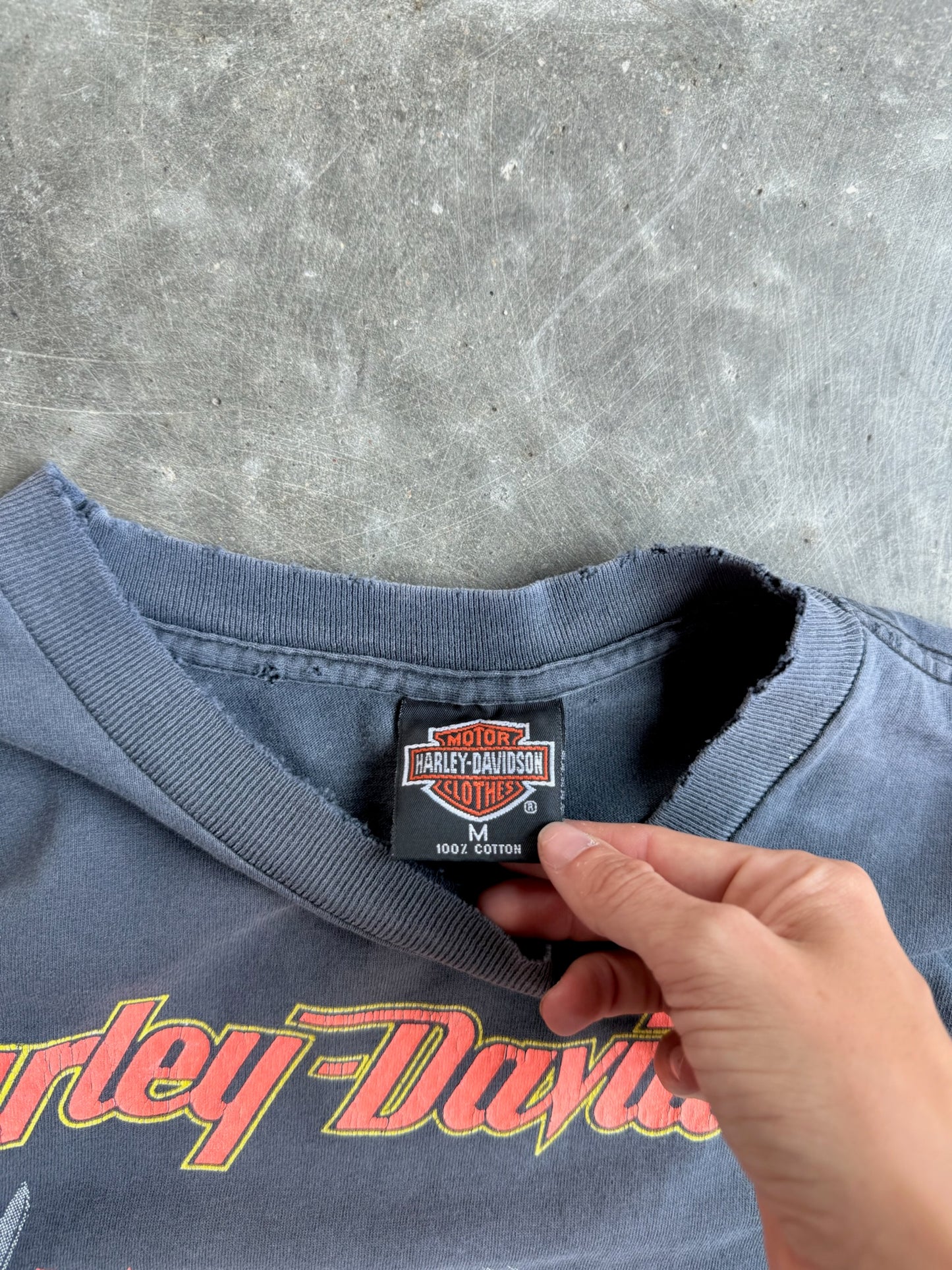 Vintage Single Stitch Harley Davidson Looney Tunes Graphic Tee - M
