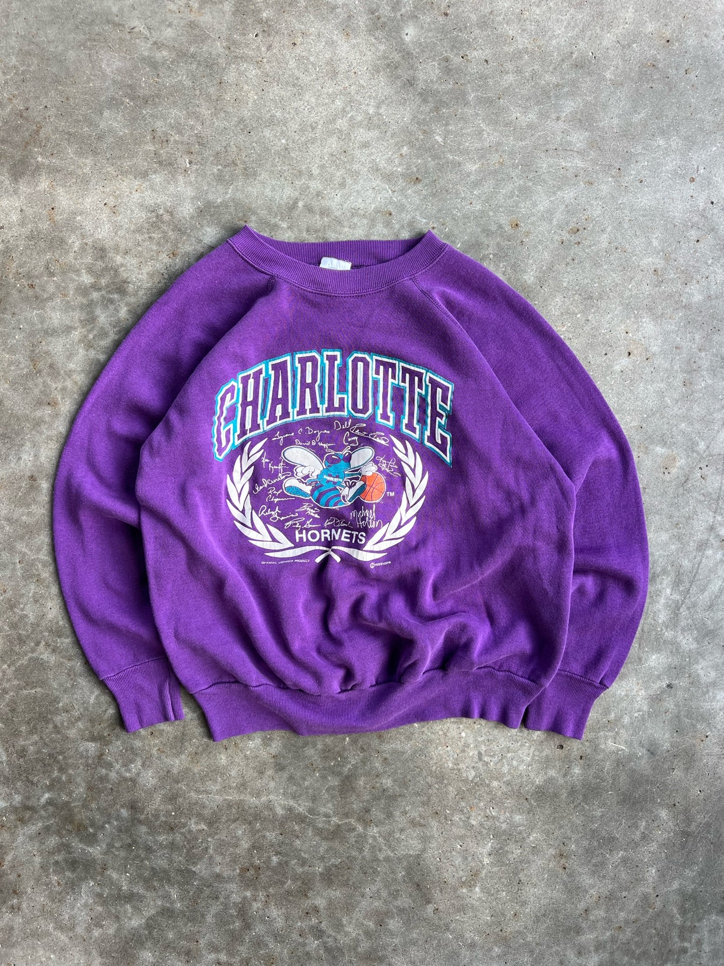 Vintage Purple Charlotte Hornets Crew - L