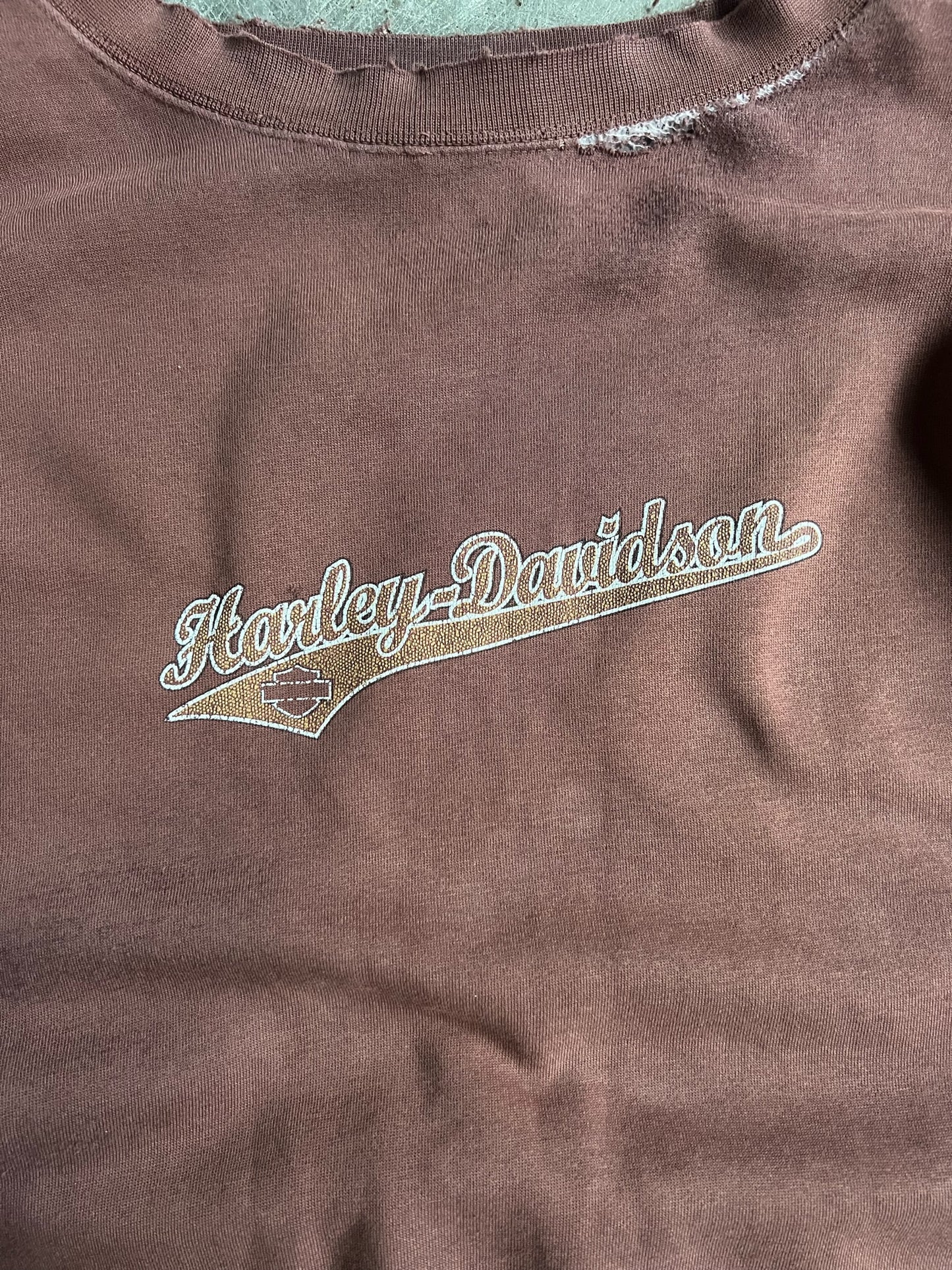 Vintage Brown Harley Davidson Thunder Mountain Crew - XL