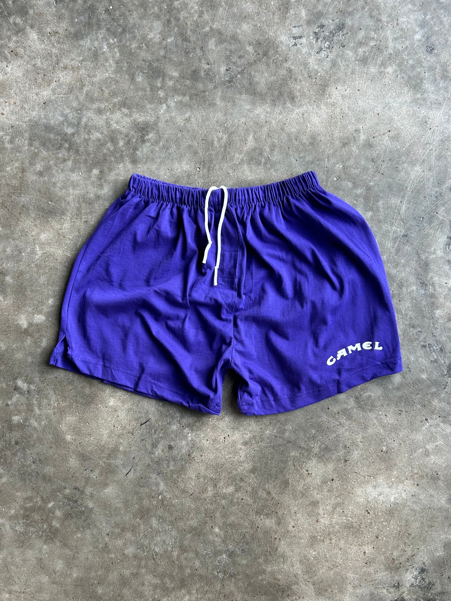 Vintage Purple Camel Shorts - M