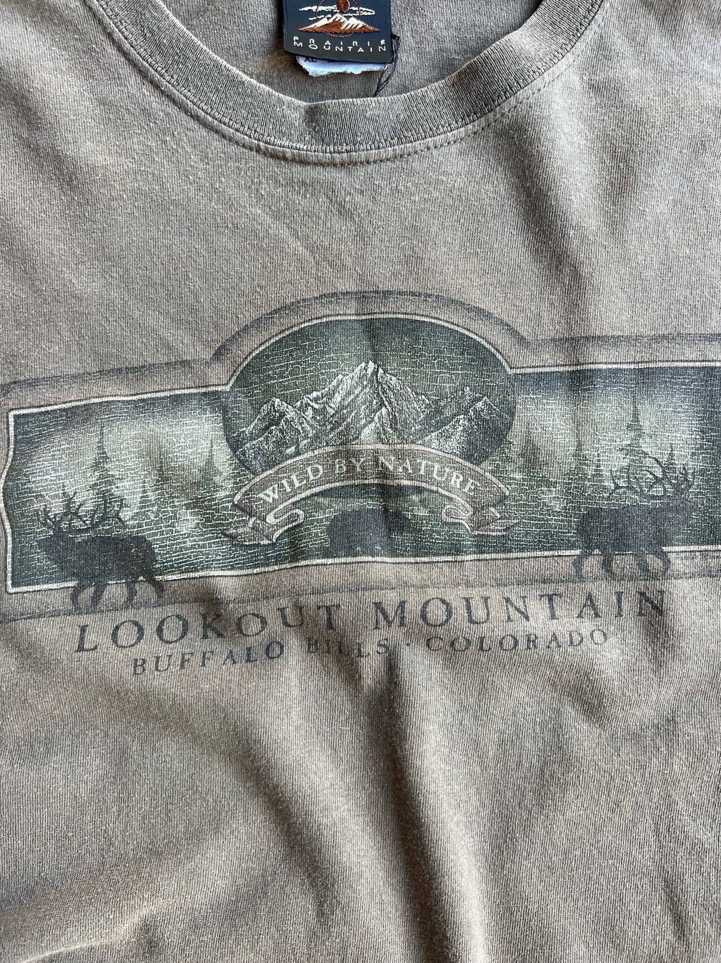 Vintage Faded Brown Prairie Mountain Shirt - XL