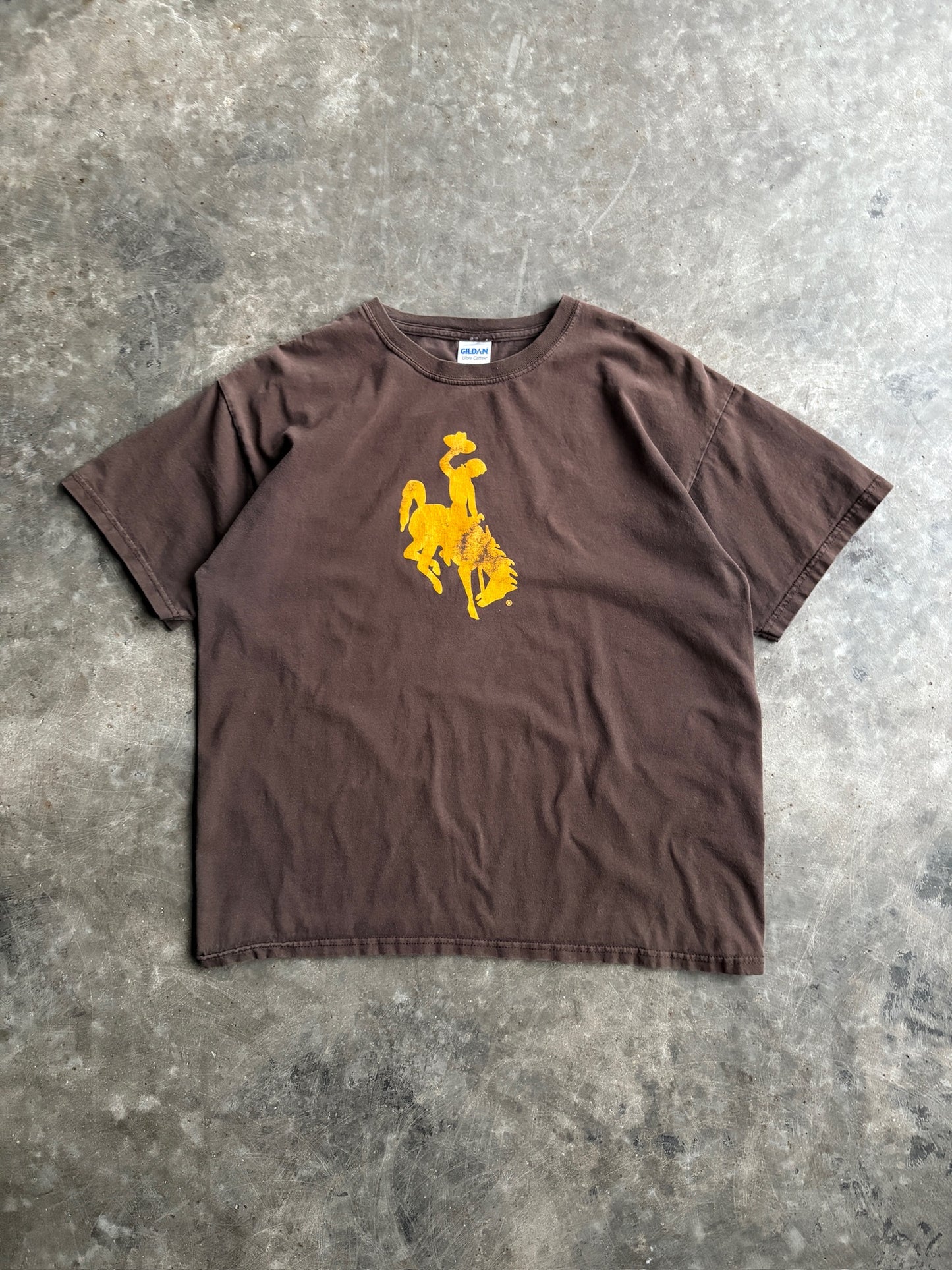 Vintage Brown Wyoming Shirt - L