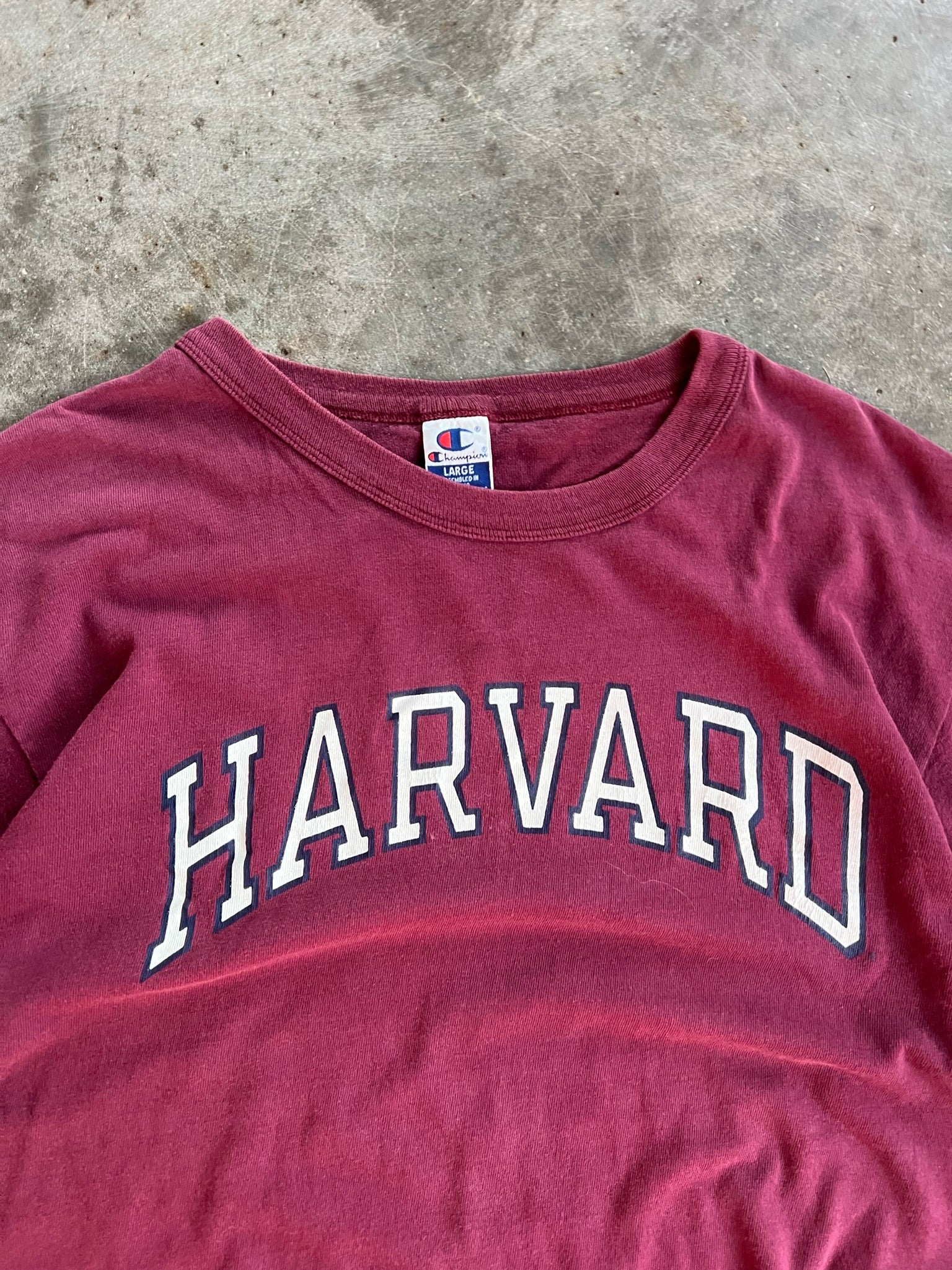 Champion harvard shirt online