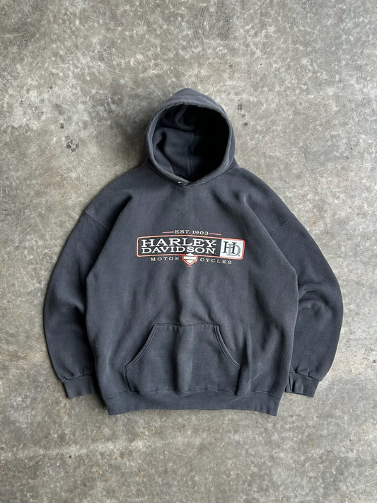 Vintage Faded Harley Davidson Hoodie - L