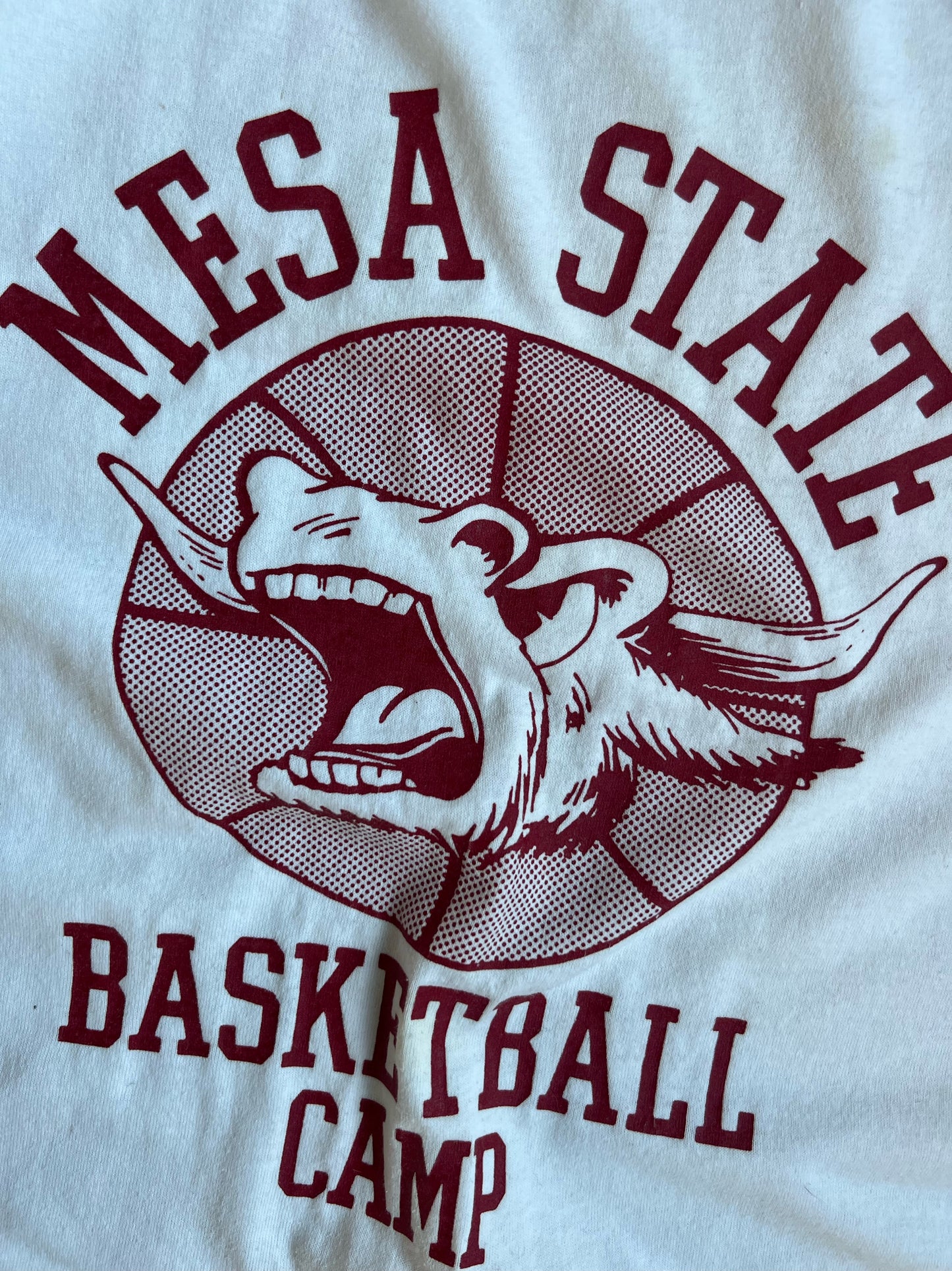 Vintage Mesa State Basketball Camp Shirt - XL