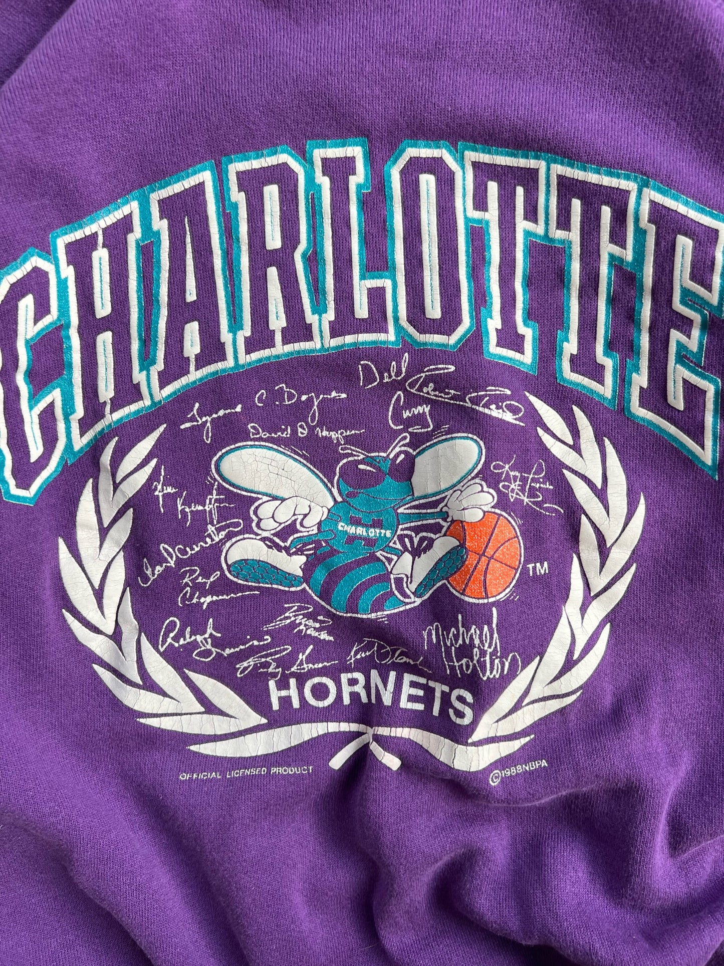 Vintage Purple Charlotte Hornets Crew - L