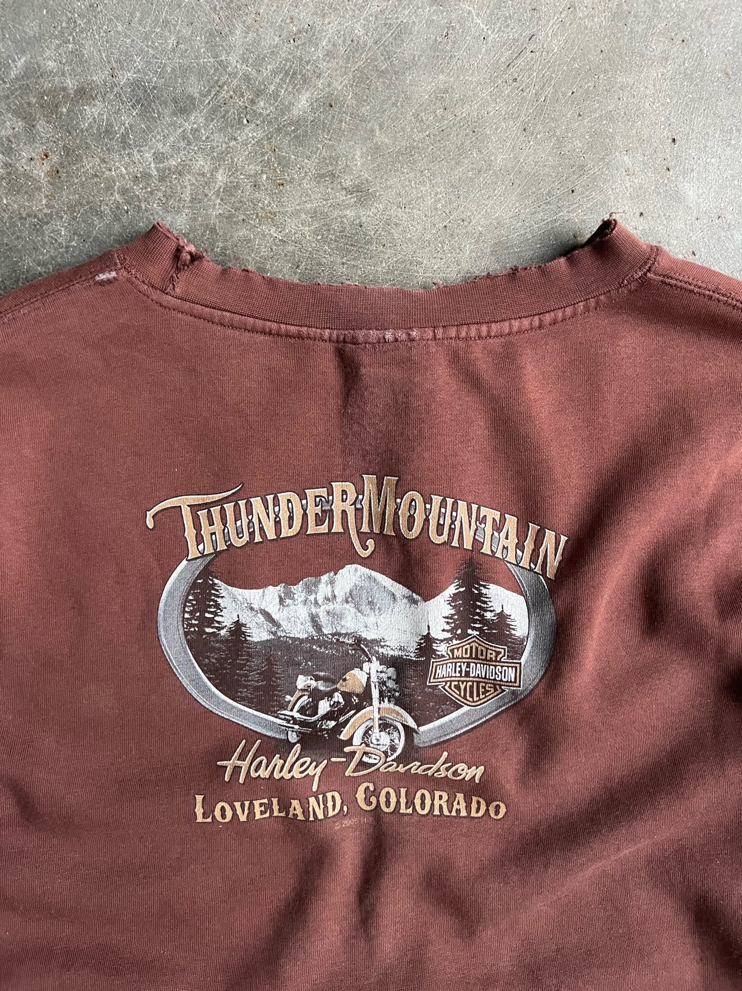 Vintage Brown Harley Davidson Thunder Mountain Crew - XL