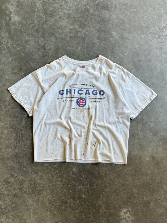 Vintage Chicago Cubs Spring Training Shirt - XXL