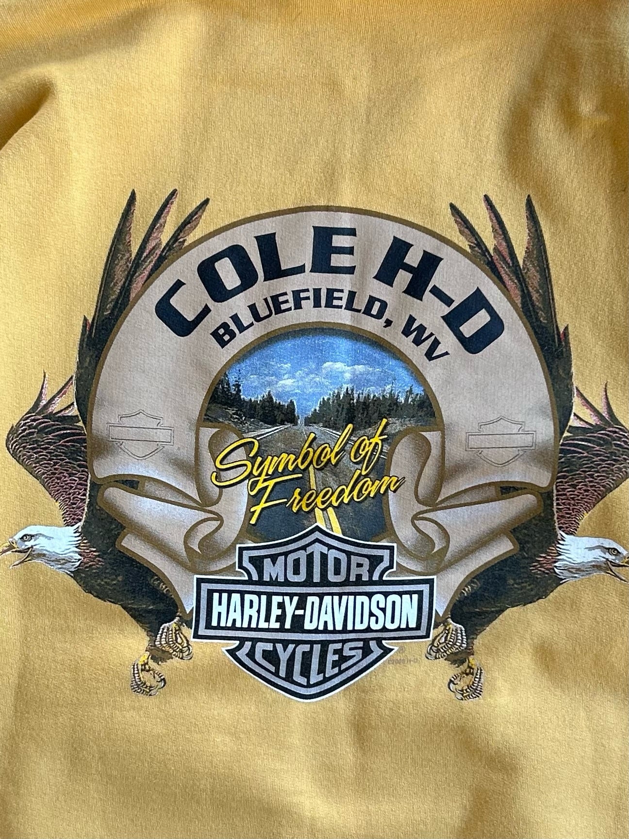 Vintage Yellow Harley Davidson Hoodie - XXL