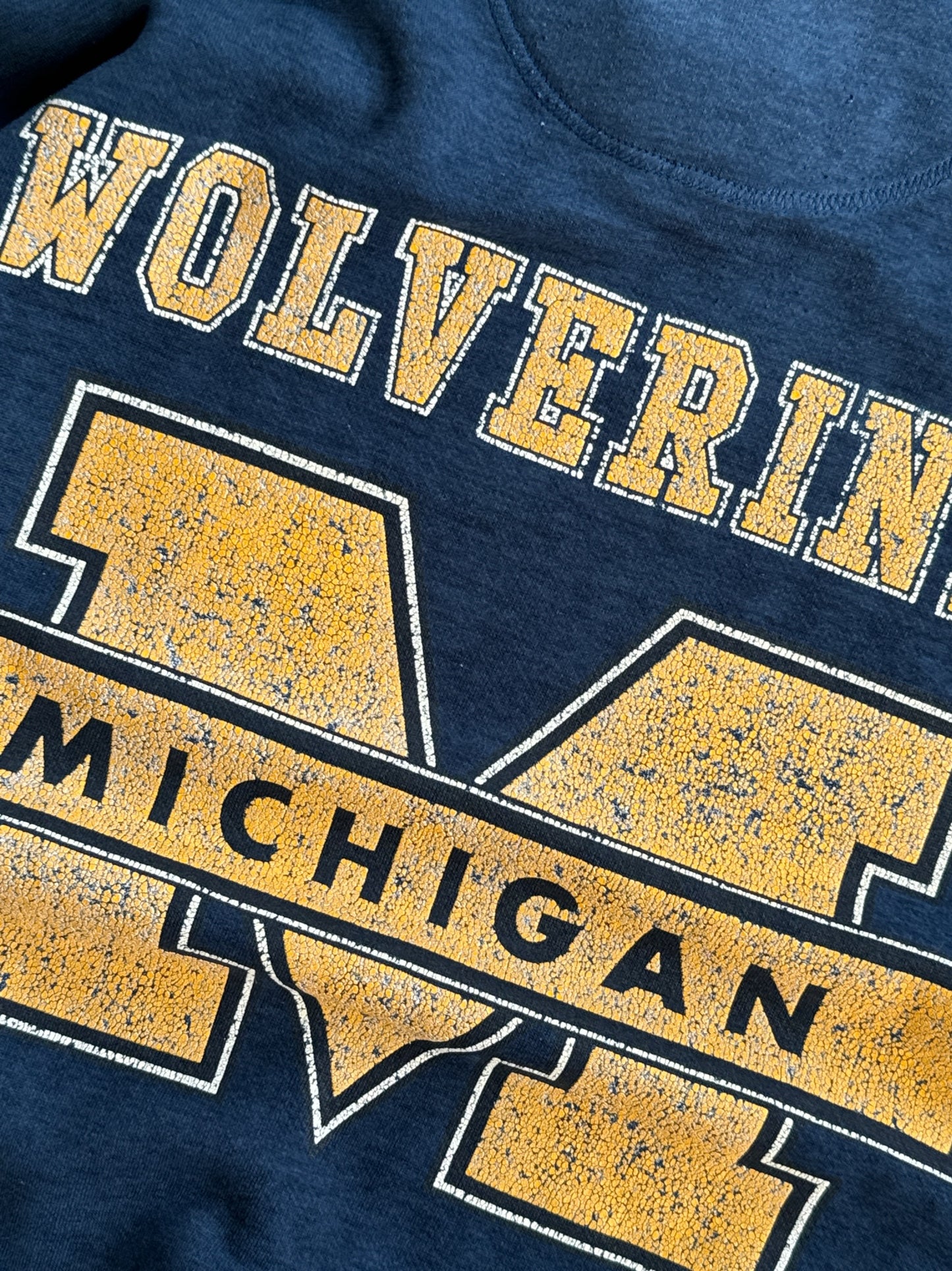 Vintage Faded & Distressed Michigan Crew - XL