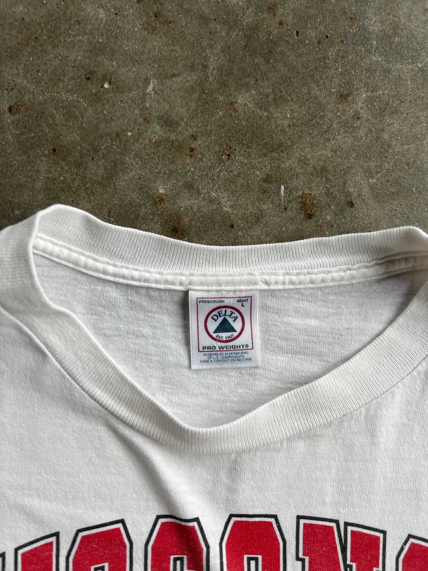 Vintage University of Wisconsin Shirt - L