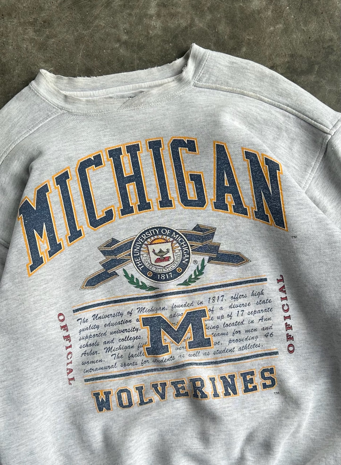 Vintage Michigan Wolverines Crew - M