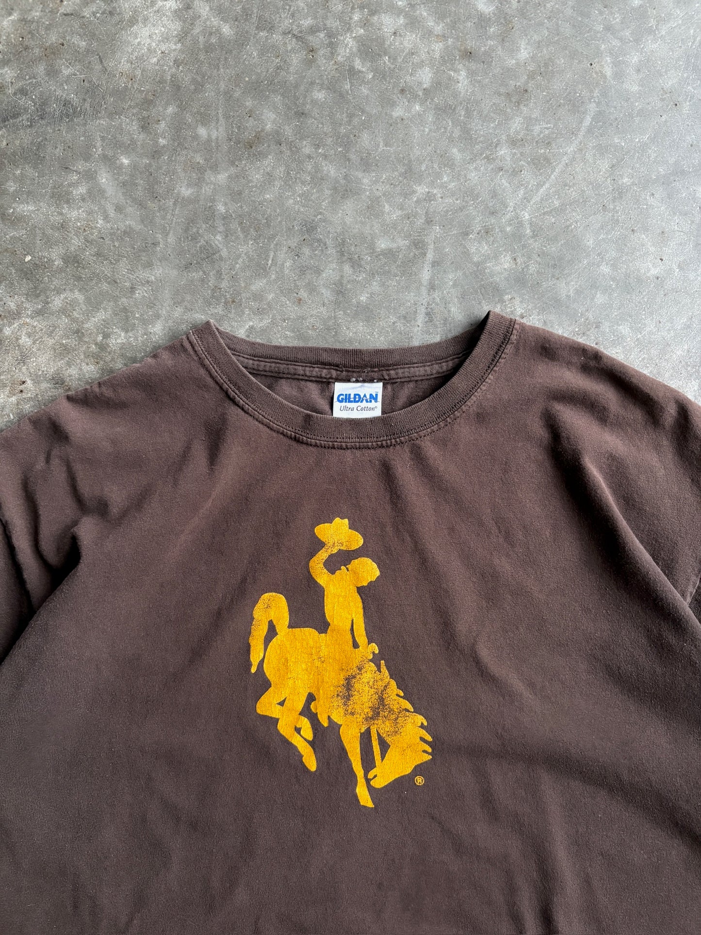 Vintage Brown Wyoming Shirt - L