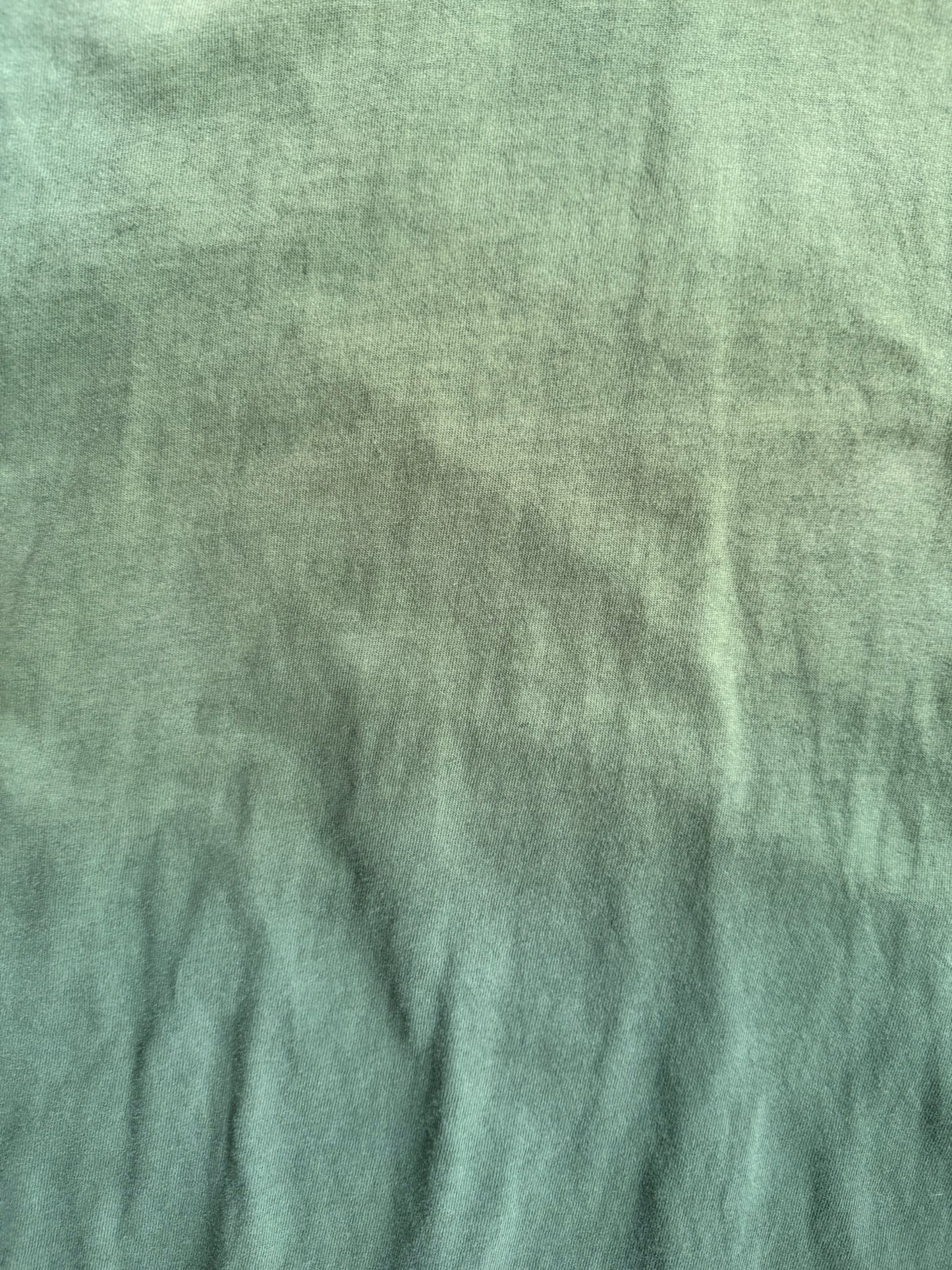 Vintage Faded Green Blank Shirt - XL