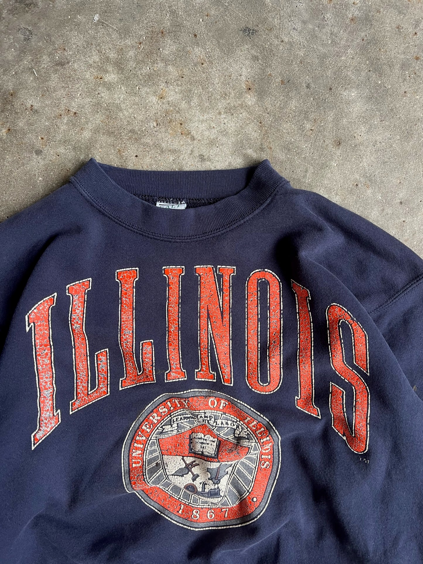 Vintage Navy Faded Illinois University Crew - L