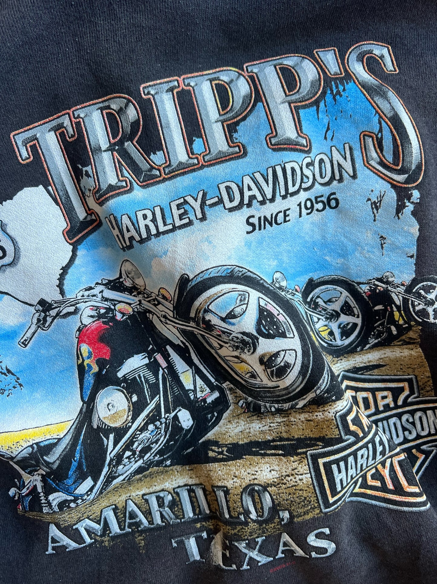 Vintage Black Painted Harley Davidson Tripp's Zip Up Hoodie - XL