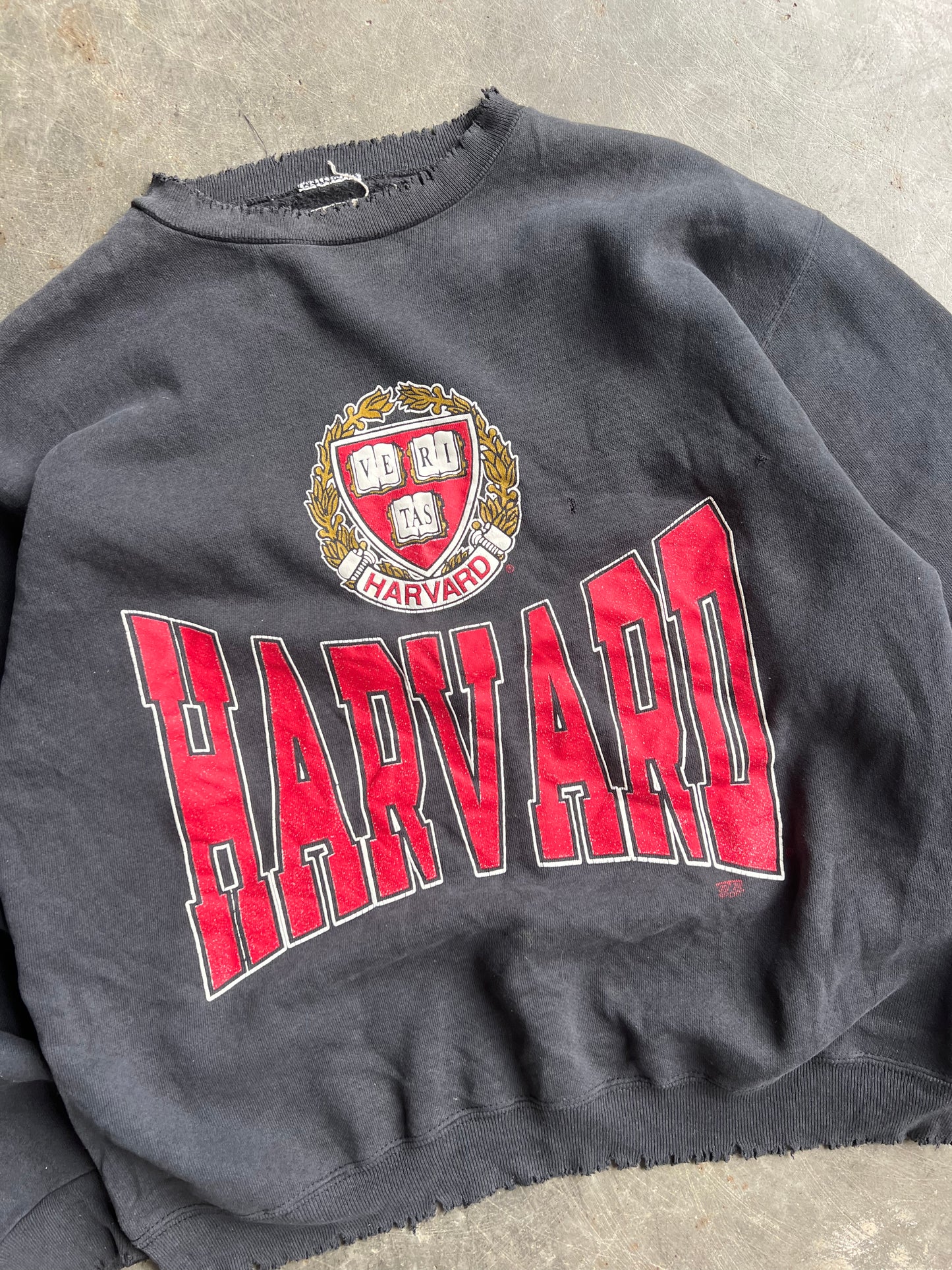 Vintage Harvard Veritas Crew - L